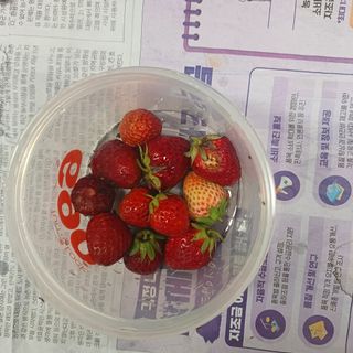 正覺님의 기타작물 · 영농일지 작성글 사진