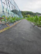 김윤회님의 작성글 사진