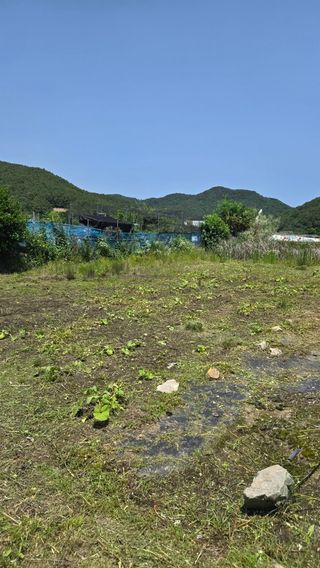 노병무님의 기타작물 · 영농일지 작성글 사진