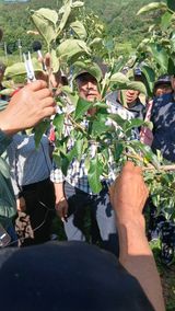 이상철님의 작성글 사진