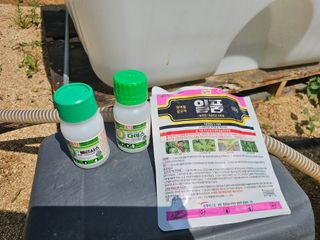 기진성님의 자두 · 영농일지 작성글 사진