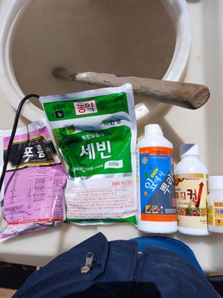 조성민님의 감자 · 영농일지 작성글 사진
