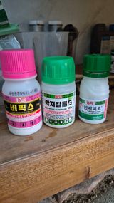 팜모닝 포도·영농일지 게시글 이미지