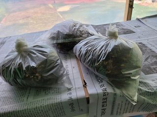 돈디아고(김덕수)님의 기타작물 · 영농일지 작성글 사진