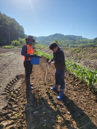 초보농부님의 기타작물 · 영농일지 작성글 사진