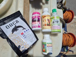조성민님의 마늘 · 영농일지 작성글 사진