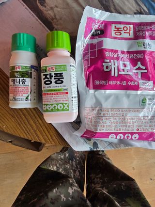 콩7431(팔공산)님의 복숭아 · 영농일지 작성글 사진
