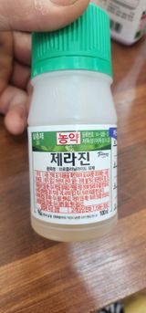 팜모닝 고추·영농일지 게시글 이미지
