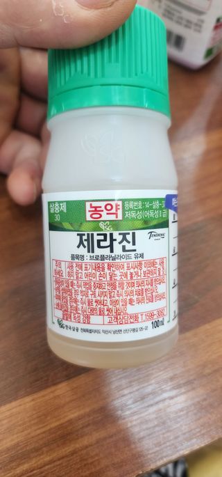 김영구님의 고추 · 영농일지 작성글 사진