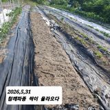 시민농장님의 작성글 사진