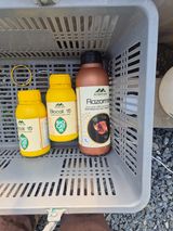 팜모닝 파·영농일지 게시글 이미지