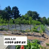 시민농장님의 작성글 사진