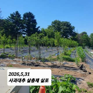 시민농장님의 기타작물 · 영농일지 작성글 사진
