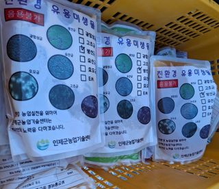 황인근님의 블루베리 · 영농일지 작성글 사진