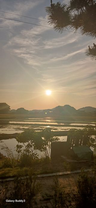 윤석돈님의 벼 · 영농일지 작성글 사진