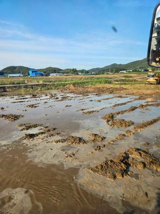 용균식님의 기타작물 · 영농일지 작성글 사진