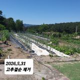 팜모닝 기타작물·영농일지 게시글 이미지