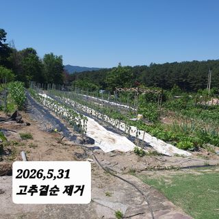시민농장님의 작성글 사진