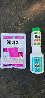 고인석님의 작성글 사진