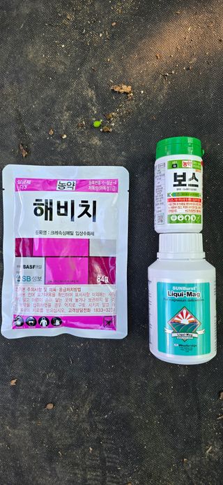 고인석님의 포도 · 영농일지 작성글 사진