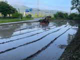 별@노래농장(정씨)님의 작성글 사진
