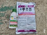 늘햇살팜 님의 작성글 사진