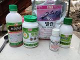 노영성님의 작성글 사진