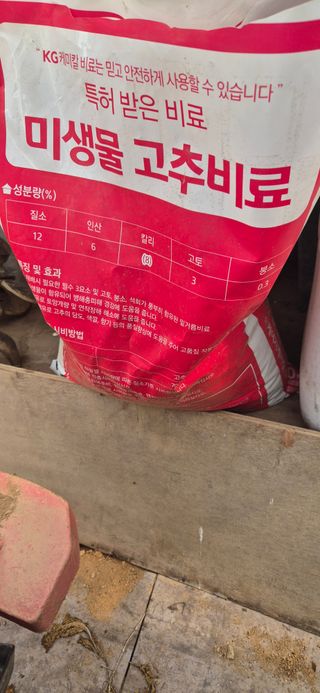 매실21434님의 고추 · 영농일지 작성글 사진