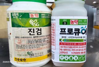 이장호님의 기타작물 · 영농일지 작성글 사진