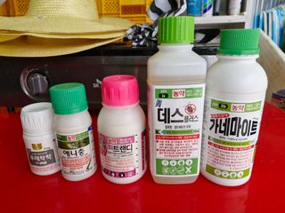 성은모님의 기타작물 · 영농일지 작성글 사진