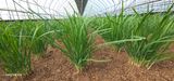 이장호님의 작성글 사진