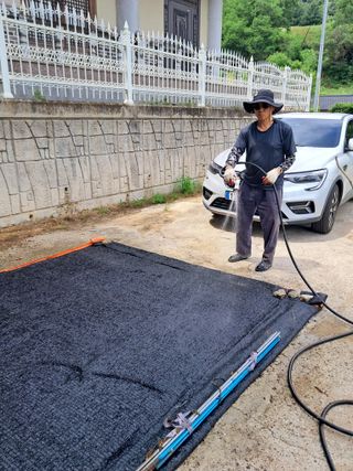 양파7244님의 들깨 · 영농일지 작성글 사진