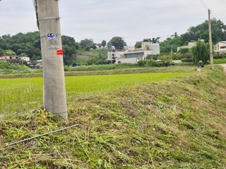 벼7893님의 콩 · 영농일지 작성글 사진