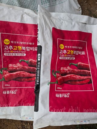 김진수님의 기타작물 · 영농일지 작성글 사진