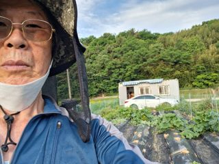 하중규(고추 재배)님의 고추 · 영농일지 작성글 사진