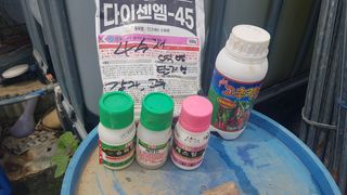 최춘득 청대산 님의 참깨 · 영농일지 작성글 사진