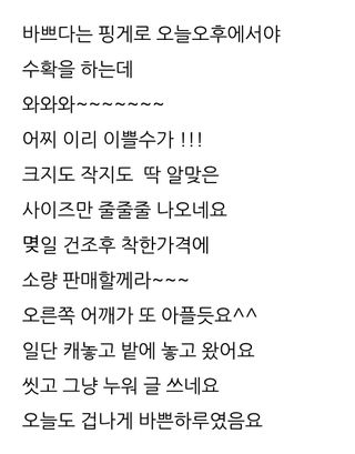 삼성농산님의 기타작물 · 영농일지 작성글 사진