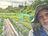 하중규(고추 재배)님의 작성글 사진