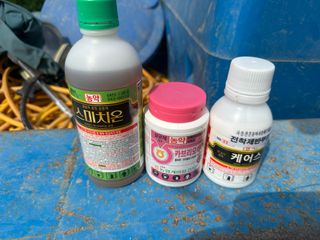 단감대봉시금치당님의 감 · 영농일지 작성글 사진