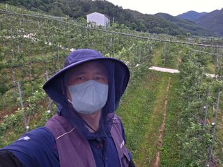 김중달님의 사과 · 영농일지 작성글 사진