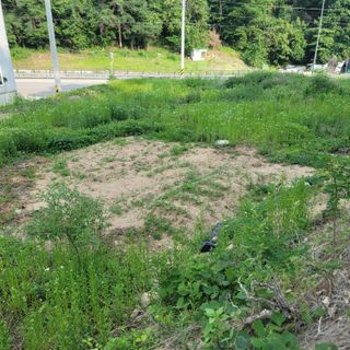 강원원주 유성훈56님의 기타작물 · 영농일지 작성글 사진