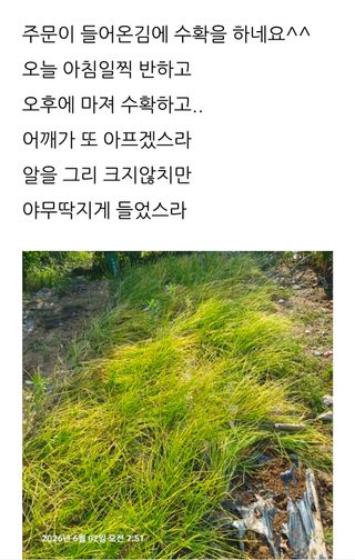 삼성농산님의 파 · 영농일지 작성글 사진