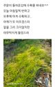 홈 갤러리 이미지