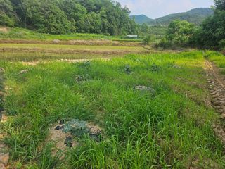쌍학리 농민님의 콩 · 영농일지 작성글 사진