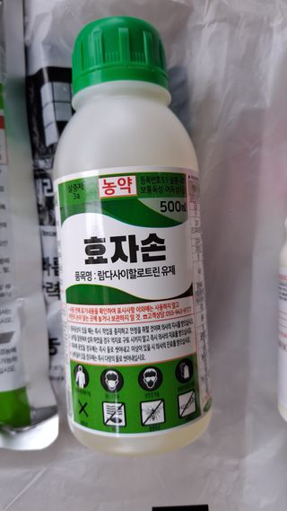 장원팜님의 배 · 영농일지 작성글 사진