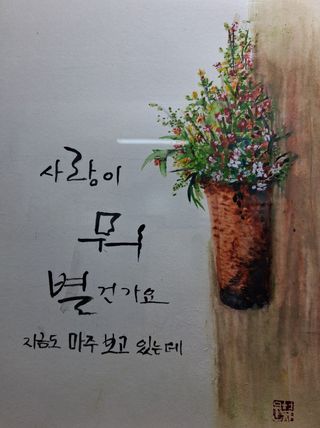 문현자 님의 고추 · 영농일지 작성글 사진