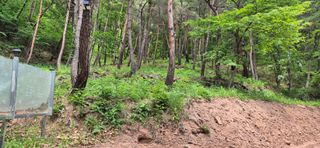 정진필님의 작성글 사진