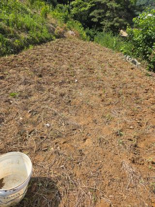정조연님의 기타작물 · 영농일지 작성글 사진