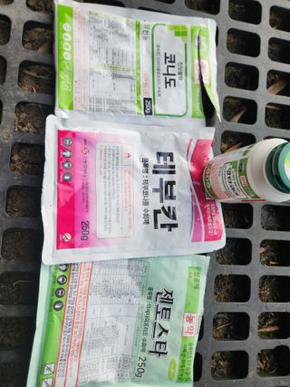 키다리님의 사과 · 영농일지 작성글 사진
