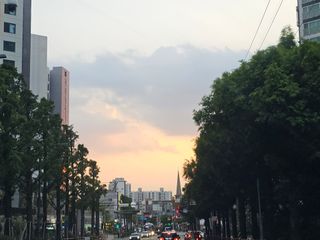 이미옥님의 벼 · 영농일지 작성글 사진